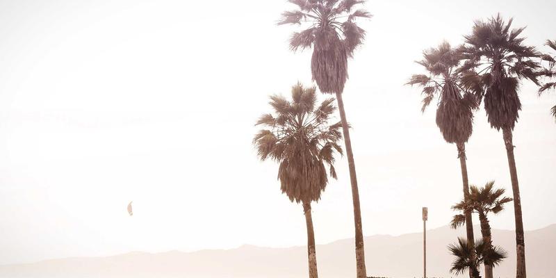 从十家店到区域龙头：本地生活餐饮娱乐企业的供应链体系升级与本地化采购策略