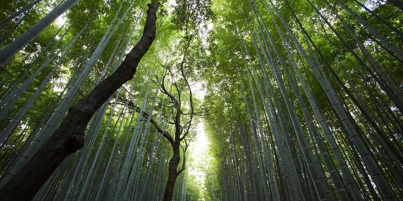 十家店24:本地生活餐饮新生态,如何赋能中小商家突围?