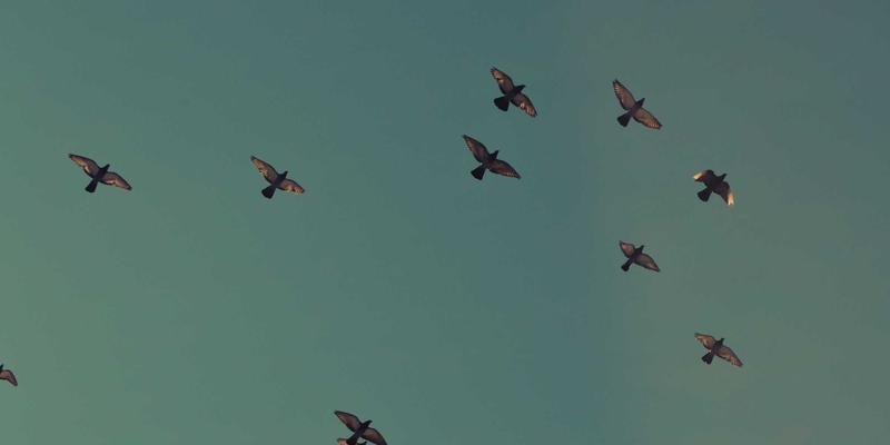 十家店26:探索本地娱乐新地标,解锁城市生活新玩法