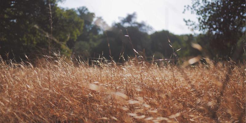 十家店2:本地生活服务新生态,如何重塑你我的日常?