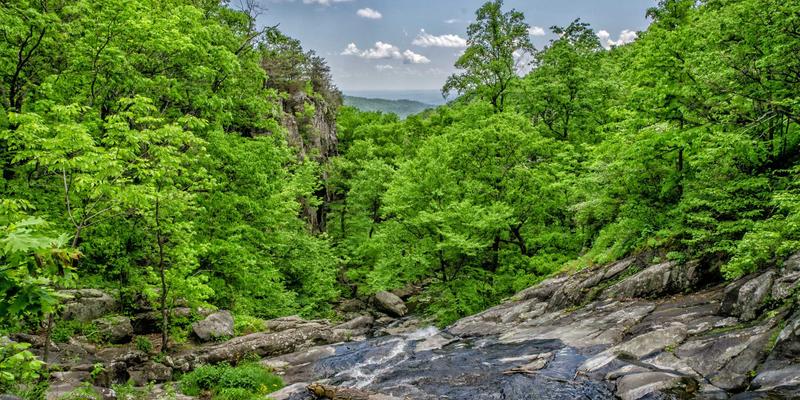 十家店40：一份重新定义本地生活服务的深度指南