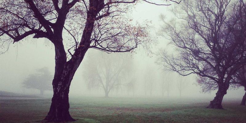 十家店95：解锁本地购物新体验，发现身边的宝藏商家