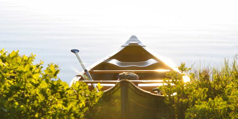 十家店之后：本地生活品牌跨区域扩张的完整服务指南与购物体验规划