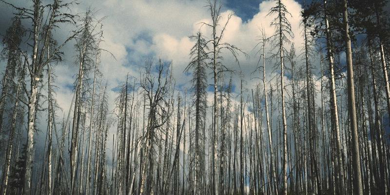 十家店如何构建高效、低成本的本地化数字营销矩阵：餐饮与生活服务业的实战指南