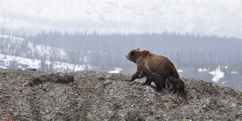 十家店网络如何深耕本地生活：维修服务社区营销与邻里关系维护实操指南