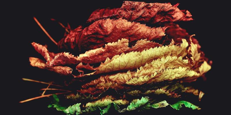 十家店：重新定义社区购物与生活服务的未来模式