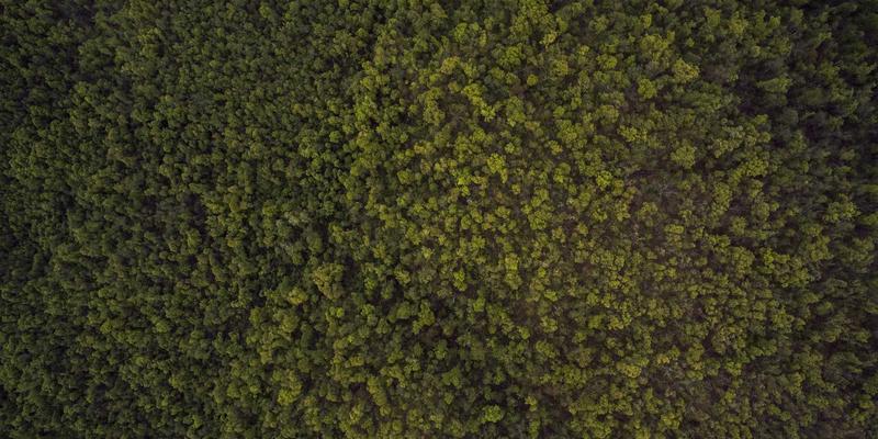 十家店餐饮品牌如何打造差异化、高粘性的社区顾客关系？