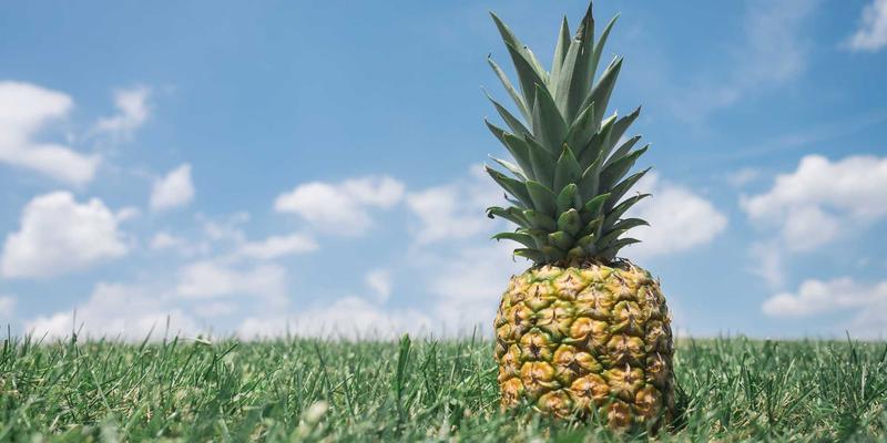 突破十店规模后，生活服务品牌如何用会员体系撬动客户终身价值？